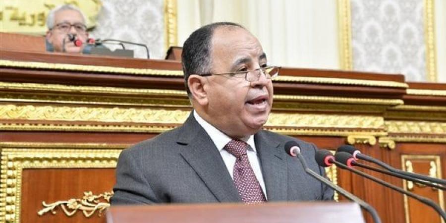 وزير المالية يكشف أمام النواب جهود تقوية الاقتصاد الوطني - مصر النهاردة