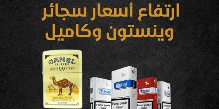 ارتفاع أسعار سجائر وينستون وكاميل (إنفوجراف) - مصر النهاردة