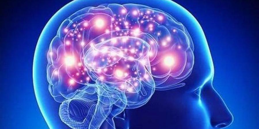 دراسة: تذكر الأشياء على المدى الطويل يؤثر على خلايا الدماغ - مصر النهاردة