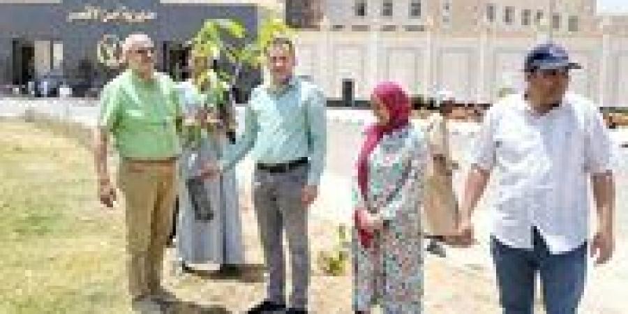 مانجو وبرتقال وتين.. جهاز طيبة الجديدة يبدأ زراعة 1350 شجرة مثمرة بشوارع المدينة - مصر النهاردة